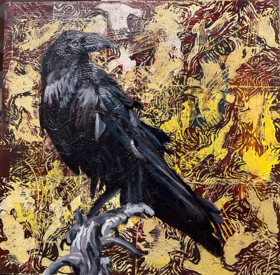Forest fires effect many - Ravens (birds), Yvette Cuthbert