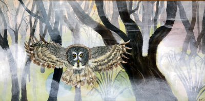 Great Grey Owl - Silent Flyer, Mary Louise Chown